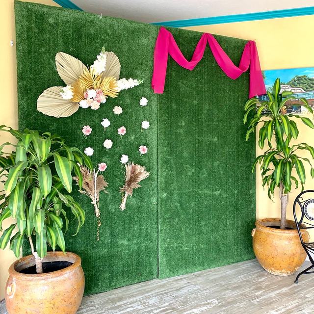 Green wall backdrop with pink arch
